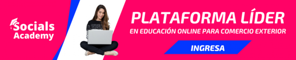 Nuestros Agentes le ayudan con una tienda en línea desde cero